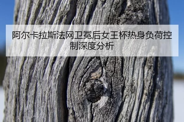 a-er-ka-la-si-fa-wang-wei-mian-hou-nv-wang-bei-re-shen-fu-he-kong-zhi-shen-du-fen-xi-2-379.jpg