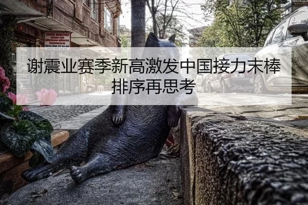 谢震业赛季新高激发中国接力末棒排序再思考