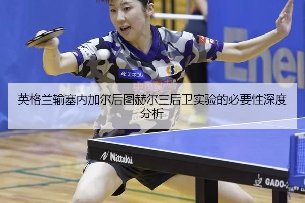 ying-ge-lan-shu-sai-nei-jia-er-hou-tu-he-er-san-hou-wei-shi-yan-de-bi-yao-xing-shen-du-fen-xi-2-963.jpg